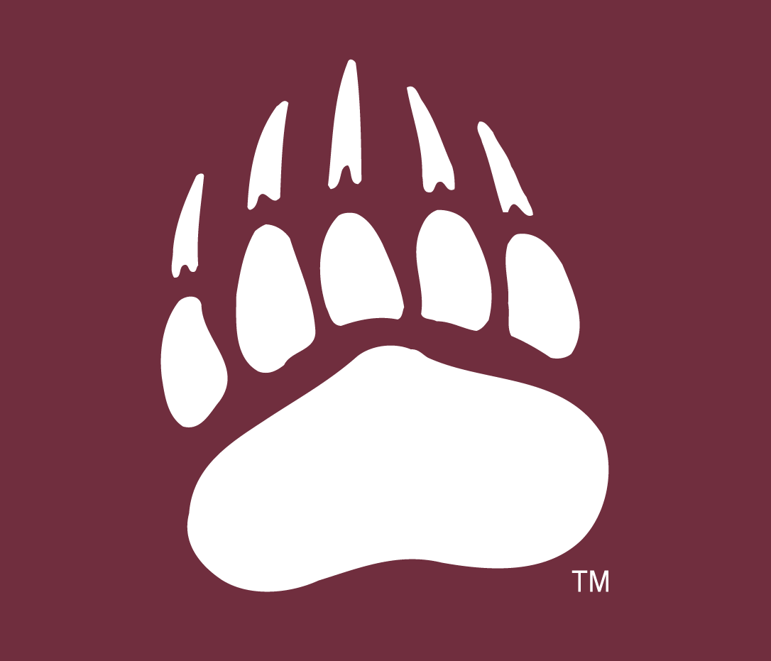 Montana Grizzlies 1996-Pres Alternate Logo 06 iron on paper